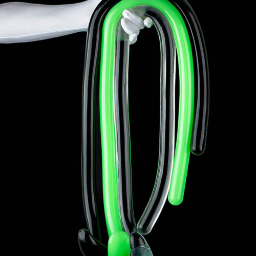 Anal whip