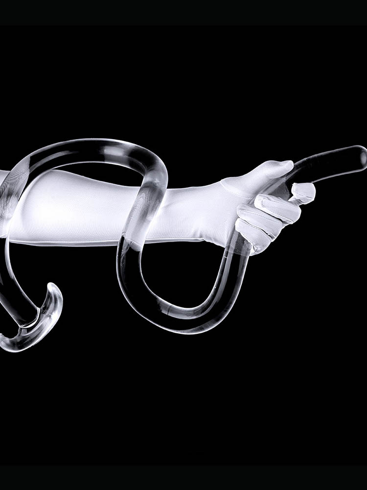 Anal whip3