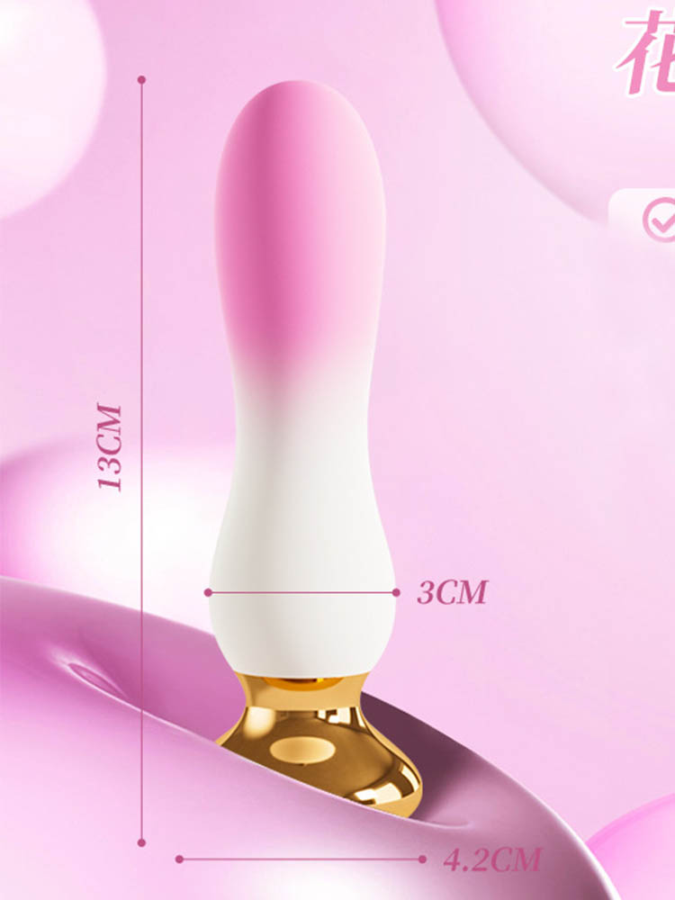 Electric anal plug2