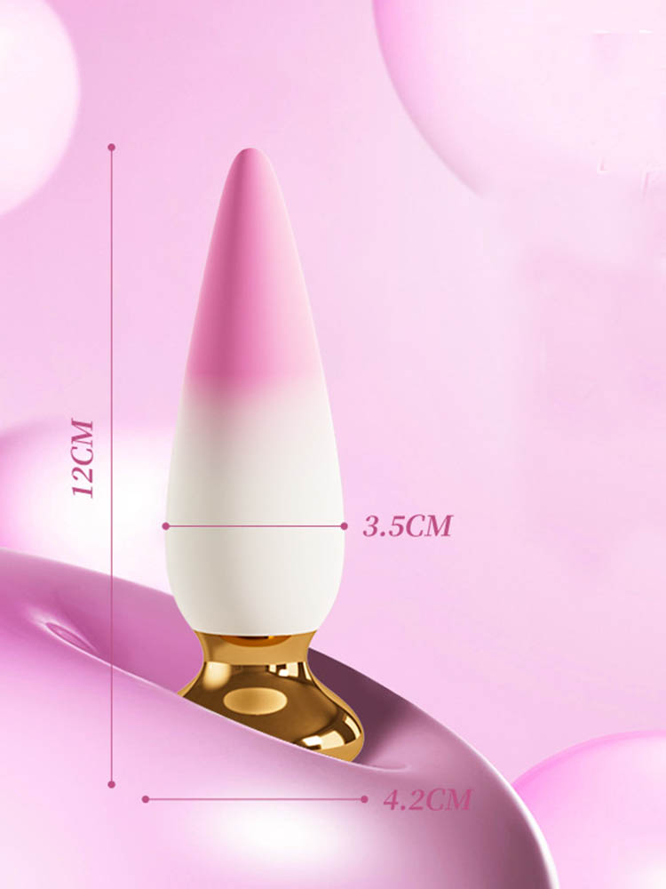 Electric anal plug5